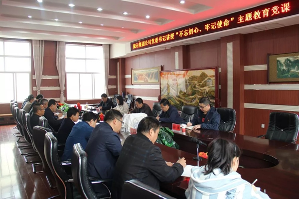 隴運(yùn)集團(tuán)公司召開(kāi)“不忘初心、牢記使命”主題教育專題黨課